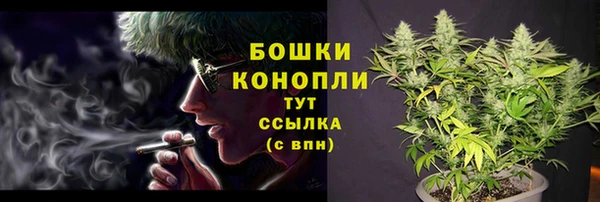 PSILOCYBIN Верхний Тагил