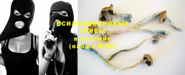 PSILOCYBIN Верхний Тагил
