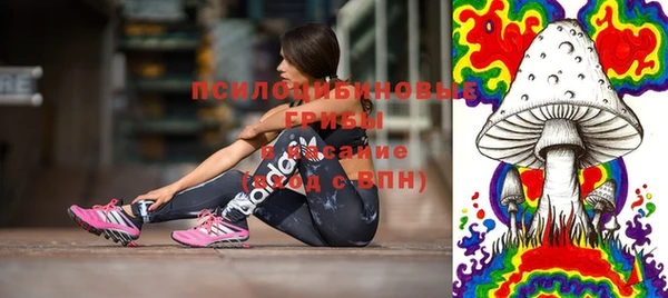 PSILOCYBIN Верхний Тагил