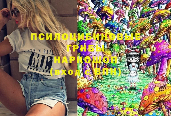 соль ск Верея