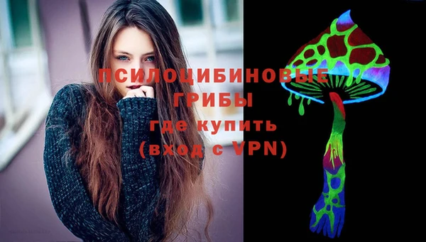 соль ск Верея