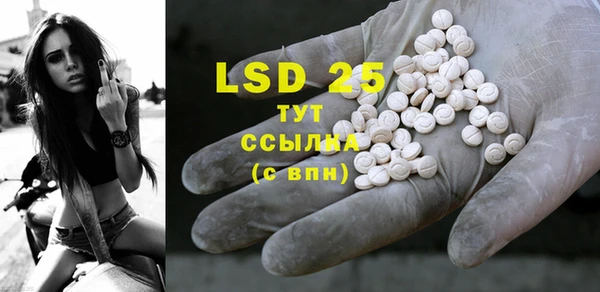 PSILOCYBIN Верхний Тагил