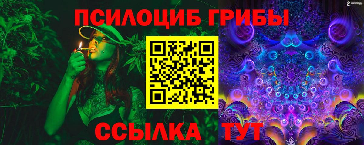 Галлюциногенные грибы GOLDEN TEACHER Северск