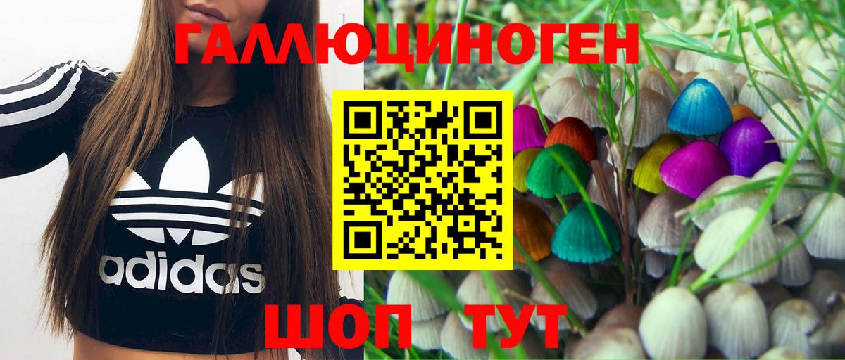 Псилоцибиновые грибы мухоморы  наркотики  Северск  Вход с VPN 