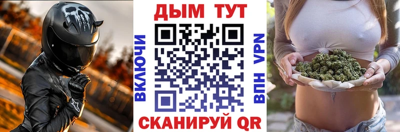 blacksprut зеркало  Северск  Каннабис сатива 